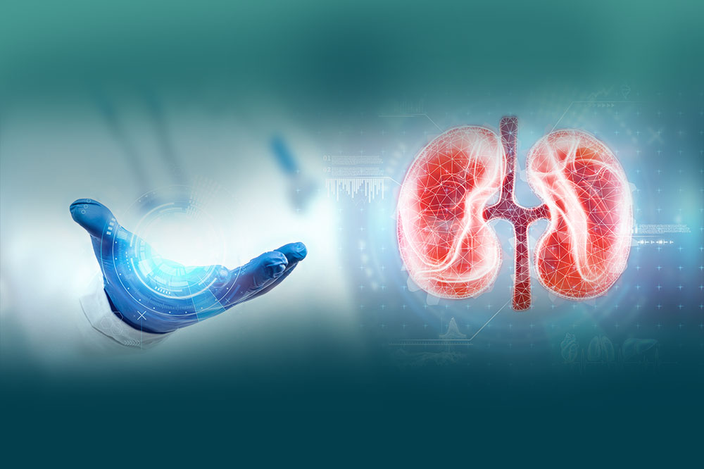 Healthy kidneys, healthy life. Your nephrologist is here to help!